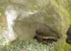 wpe41.jpg (37716 octets)