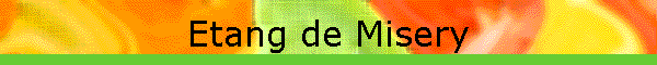 Etang de Misery