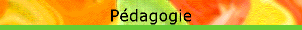 Pdagogie