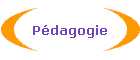 Pdagogie
